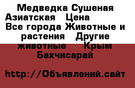 Медведка Сушеная Азиатская › Цена ­ 1 400 - Все города Животные и растения » Другие животные   . Крым,Бахчисарай